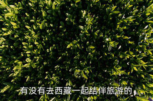有没有去西藏一起结伴旅游的