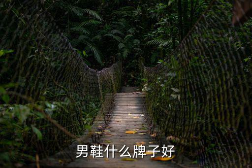 男鞋什么牌子好