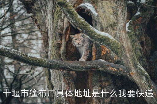 十堰市篷布厂具体地址是什么我要快递