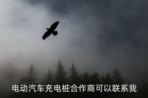 电动汽车充电桩合作商可以联系我