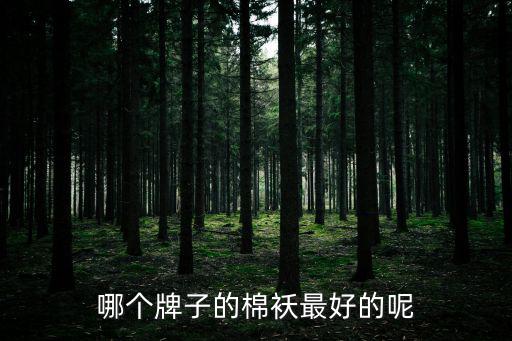 哪个牌子的棉袄最好的呢