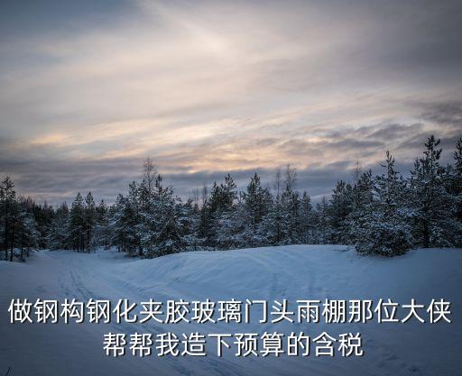 做钢构钢化夹胶玻璃门头雨棚那位大侠 帮帮我造下预算的含税