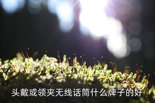 头戴或领夹无线话筒什么牌子的好