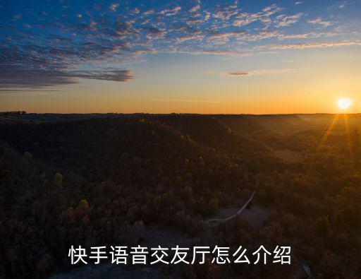 快手语音交友厅怎么介绍