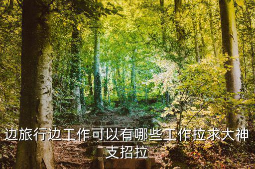 边旅游边赚钱的工作，有什么职业即能旅游又收入高又是有关电脑的