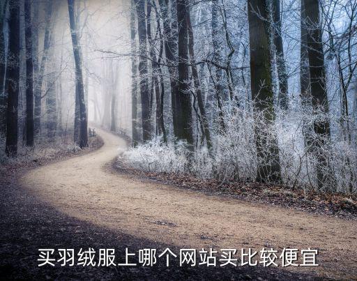 买羽绒服上哪个网站买比较便宜
