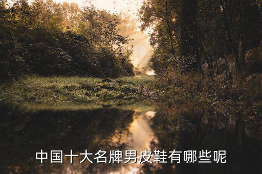 国内男士皮鞋品牌前十大排名，中国十大名牌男皮鞋有哪些呢