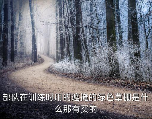 部队在训练时用的遮掩的绿色草棚是什么那有买的