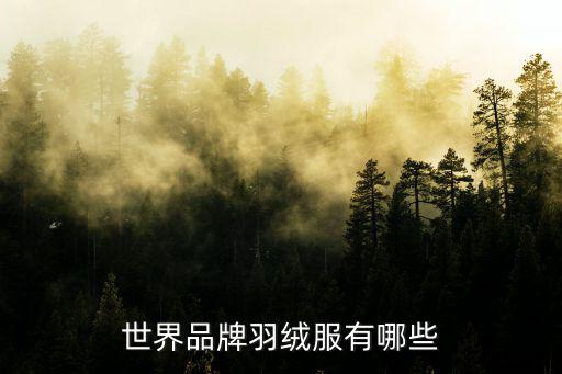 世界品牌羽绒服有哪些
