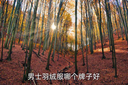 户外羽绒服哪个品牌好一点男士，哪个牌子的羽绒服比较好男装