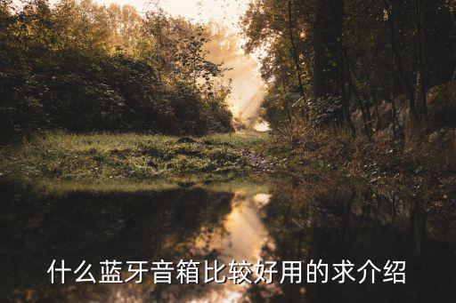 什么蓝牙音箱比较好用的求介绍