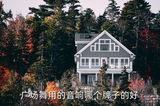 广场舞用的音响哪个牌子的好