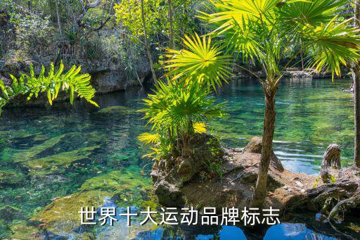 世界十大名鞋品牌标志运动鞋，世界十大名牌鞋是那些