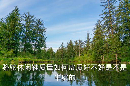 骆驼牌运动休闲鞋，骆驼休闲鞋怎么样