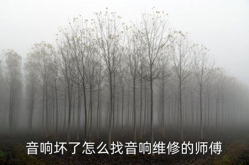 音响坏了怎么找音响维修的师傅