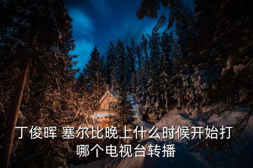 丁俊晖 塞尔比晚上什么时候开始打 哪个电视台转播
