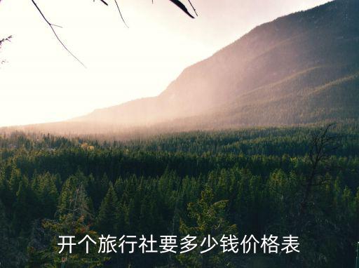 开一家小型旅行社需要多少钱，开个旅行社要多少钱价格表