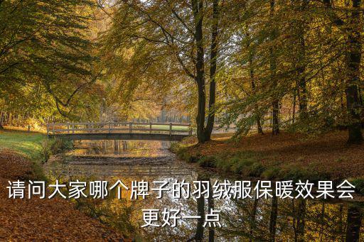 请问大家哪个牌子的羽绒服保暖效果会更好一点