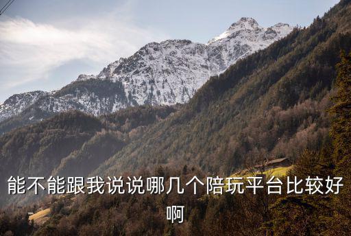 能不能跟我说说哪几个陪玩平台比较好啊