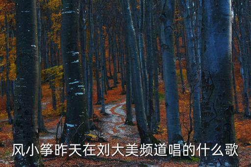 风小筝昨天在刘大美频道唱的什么歌