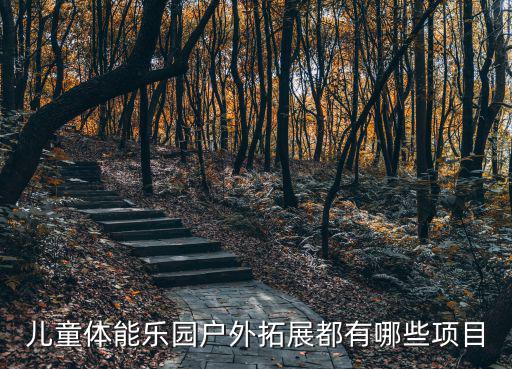 户外游乐项目有哪些2人，儿童体能乐园户外拓展都有哪些项目