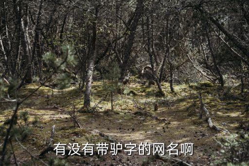 有没有带驴字的网名啊
