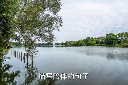 描写陪伴的句子