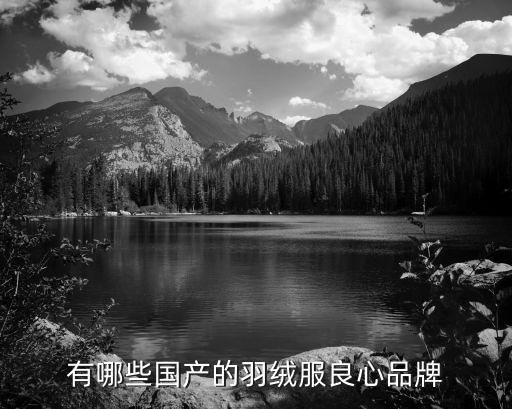国内羽绒服品牌有哪些牌子比较好，哪些国内的羽绒服牌子比较好款式都无所谓主要还得质量好  搜