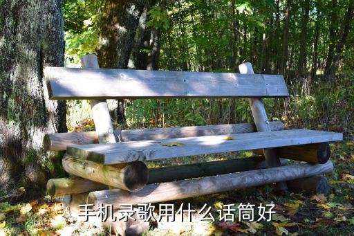 手机录歌用什么话筒好