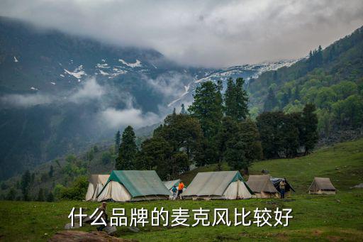 什么品牌的麦克风比较好