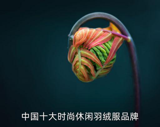 中国十大羽绒服品牌排行，中国十大时尚休闲羽绒服品牌