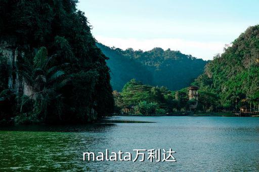 malata万利达