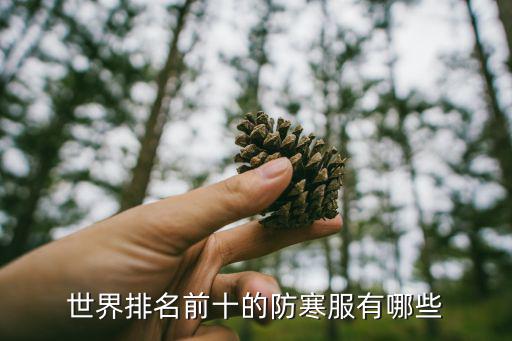 世界排名前十的防寒服有哪些