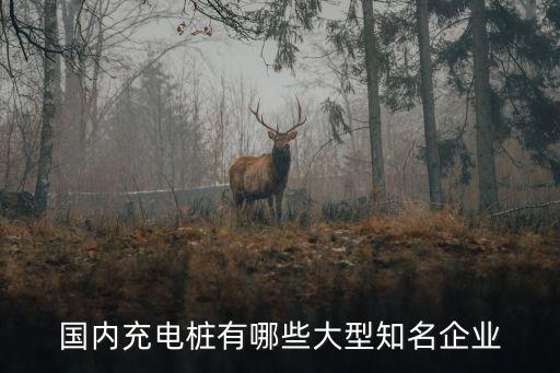 国内充电桩有哪些大型知名企业