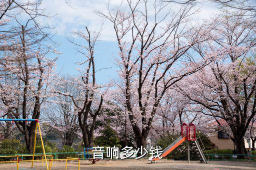 阿酷司音响多少钱一个，音响多少钱