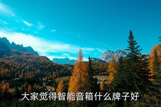 大家觉得智能音箱什么牌子好