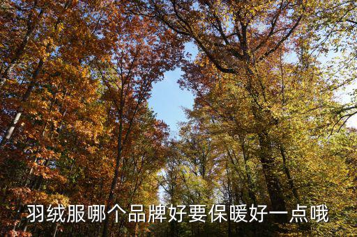 羽绒服哪个品牌好要保暖好一点哦