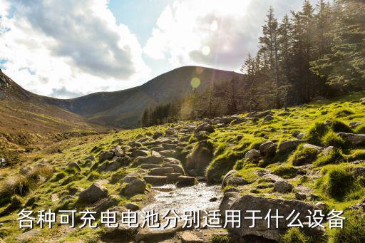 各种可充电电池分别适用于什么设备