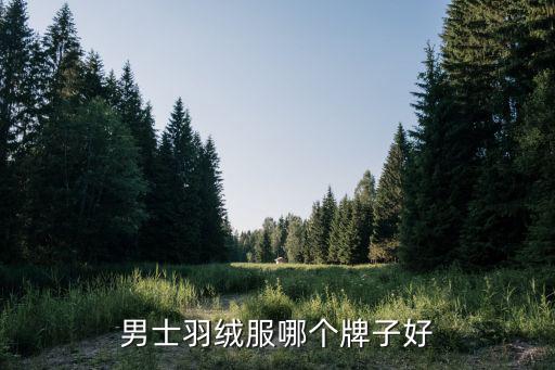 国际男士羽绒服品牌十大排名，欧美品牌的男生羽绒服有哪些