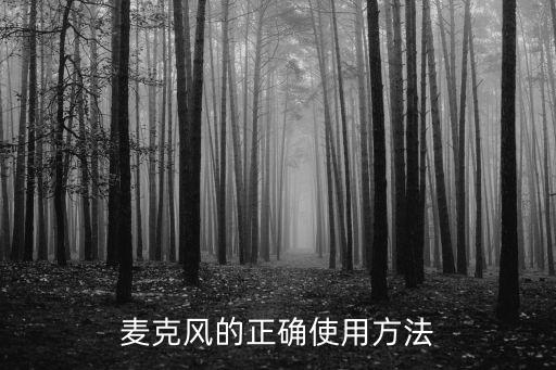 tnvi麦克风怎么用，麦克风怎么用