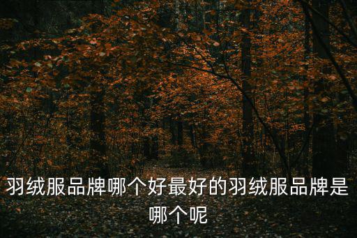 羽绒服品牌哪个好最好的羽绒服品牌是哪个呢