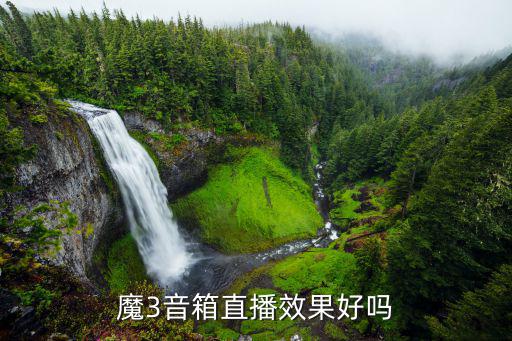 魔3音箱直播效果好吗