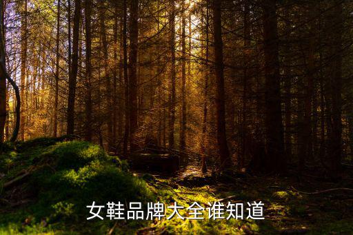 十大品牌女鞋有哪些，女鞋加盟十大品牌有哪些