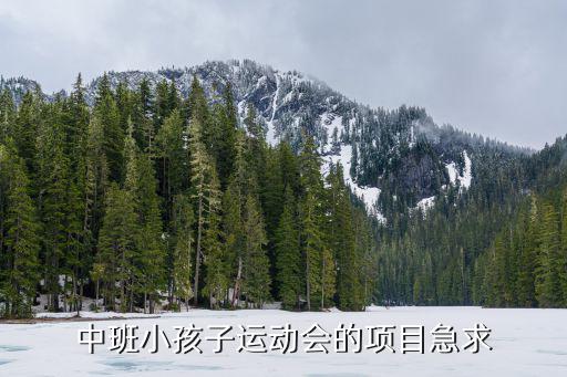 中班小孩子运动会的项目急求