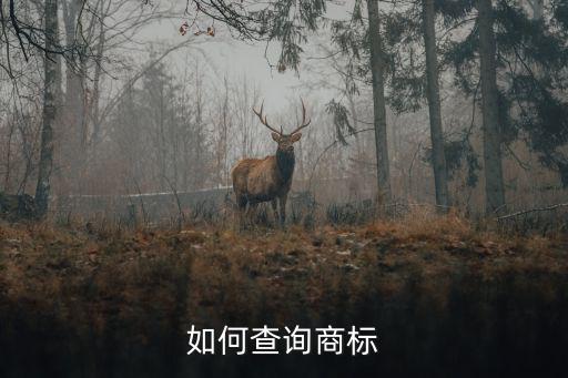 如何查询商标