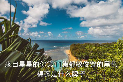 韩国最有名的羽绒服，做韩国衣服代购的朋友哪几个韩国代购的品牌比较有名啊