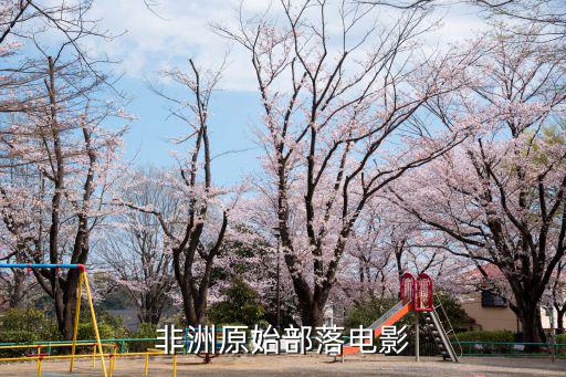 非洲最透明原始的部落，非洲原始部落劲戴银圈吗