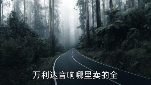 万利达音响哪里卖的全