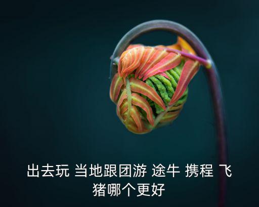 出去玩 当地跟团游 途牛 携程 飞猪哪个更好