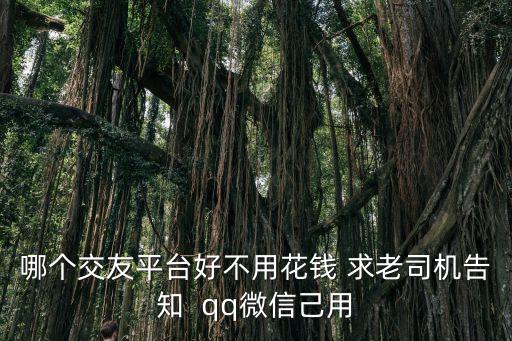 哪个交友平台好不用花钱 求老司机告知  qq微信己用